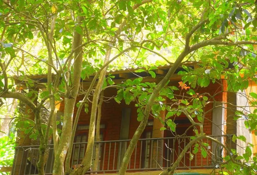 ホテル Ella 100 View Cottage