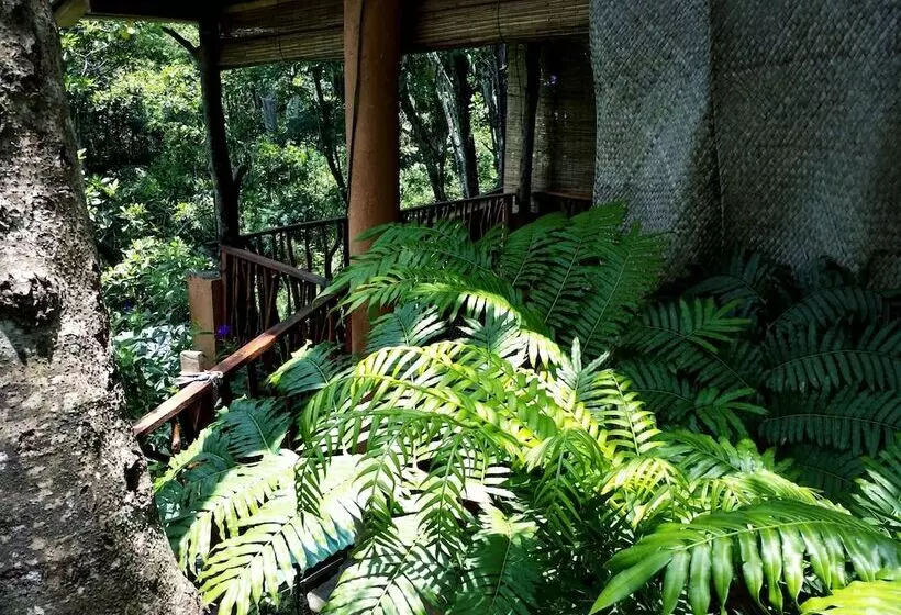 ホテル Ella 100 View Cottage