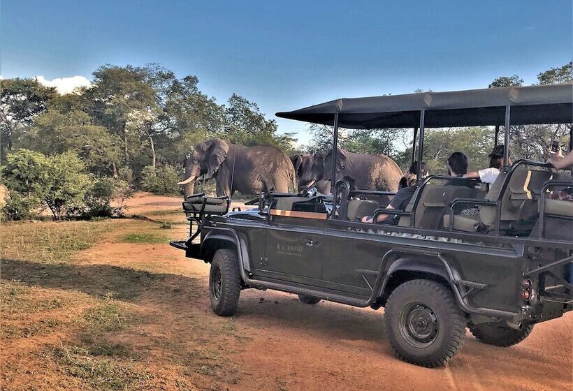 Отель Kaingo Game Reserve
