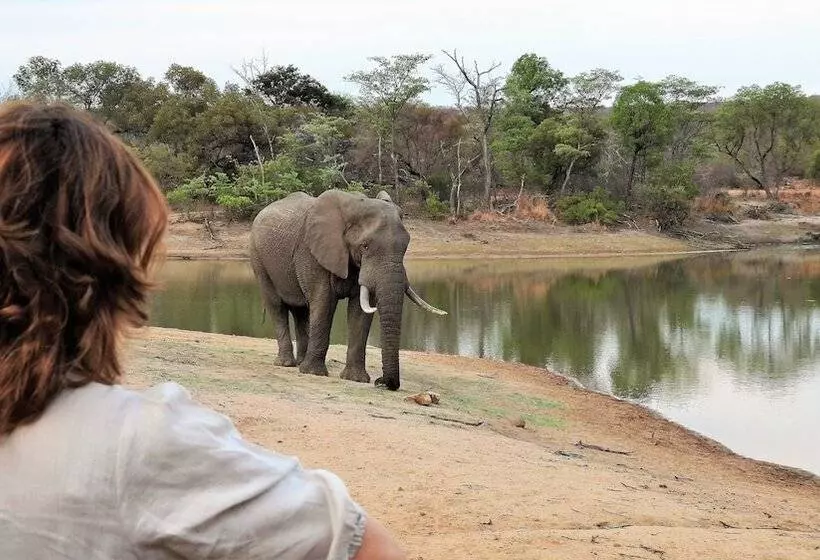 Hotelli Kaingo Game Reserve