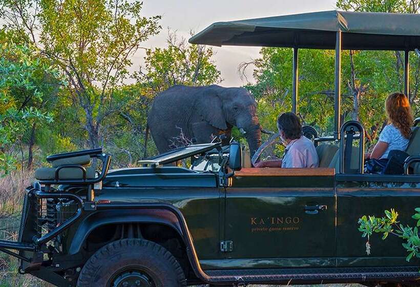 Отель Kaingo Game Reserve