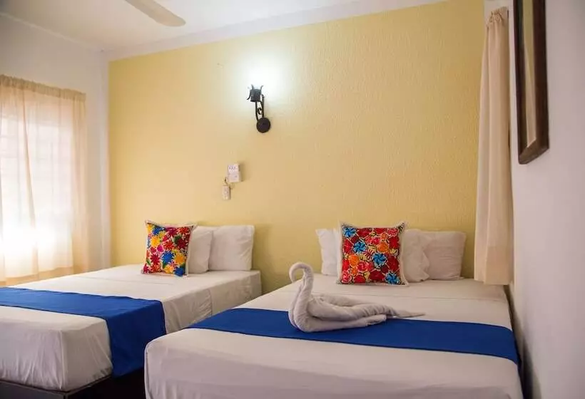 ホテル Posada Kin