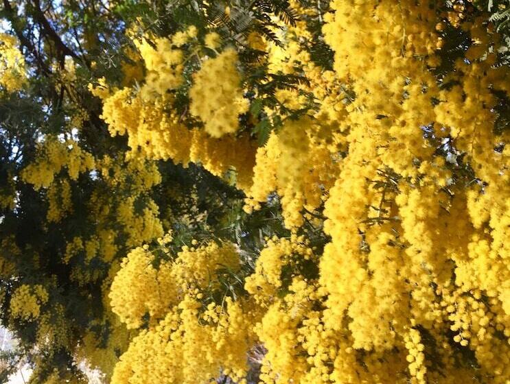 Pomonal Cottages Grampians