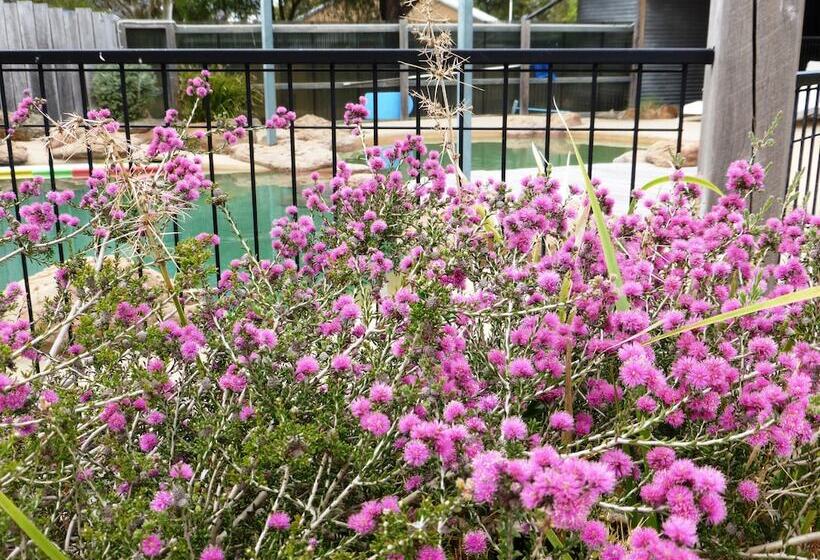 Pomonal Cottages Grampians