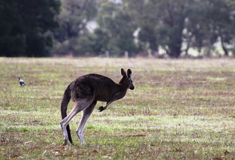 Pomonal Cottages Grampians