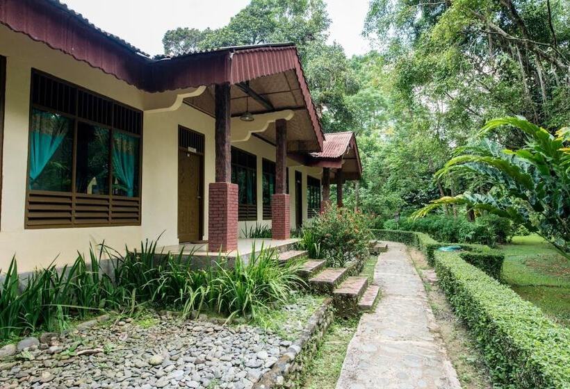 فندق Ecolodge Bukit Lawang