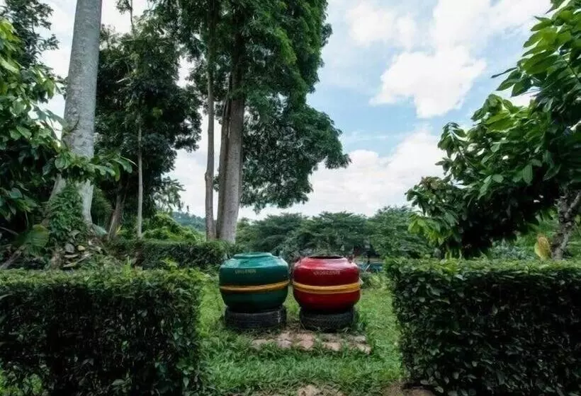 Hotelli Ecolodge Bukit Lawang