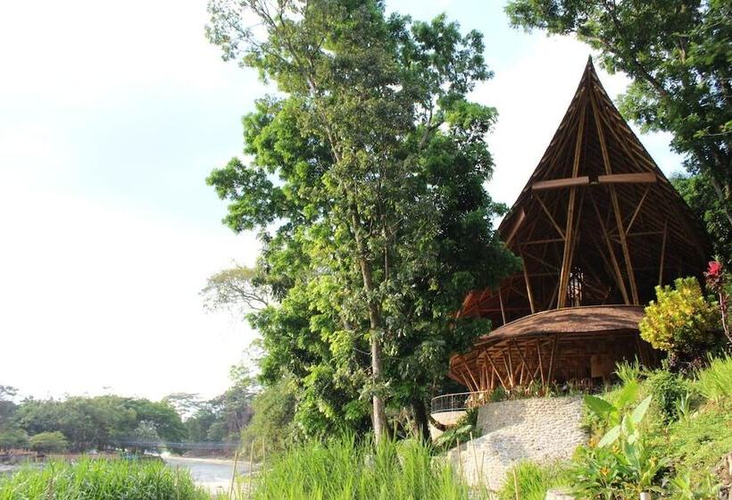 فندق Ecolodge Bukit Lawang