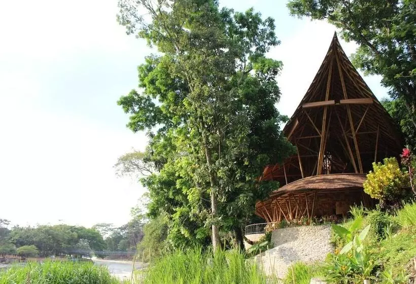 Hotelli Ecolodge Bukit Lawang