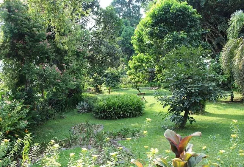 Hotelli Ecolodge Bukit Lawang