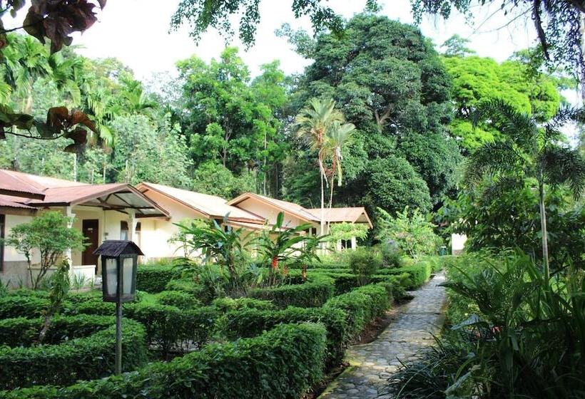 فندق Ecolodge Bukit Lawang