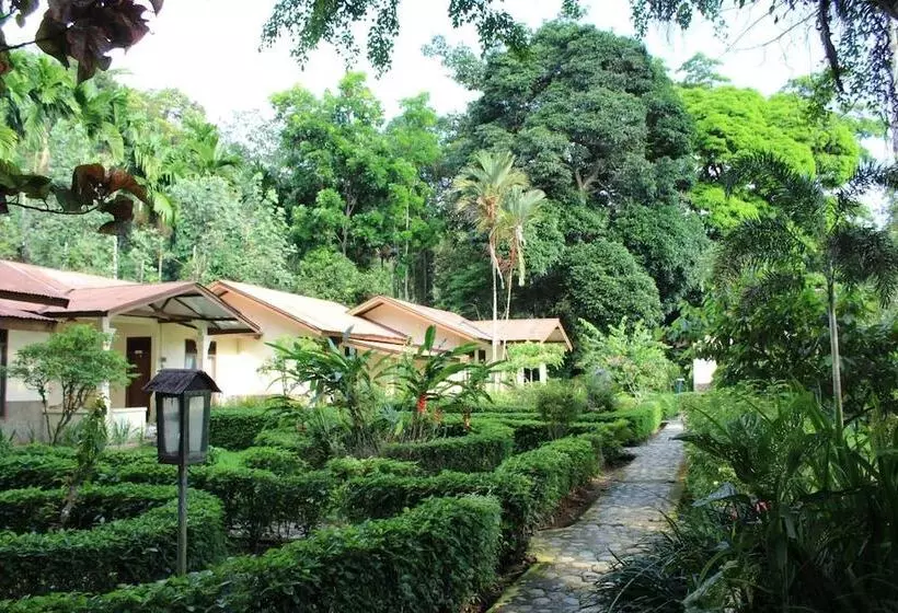 Hotelli Ecolodge Bukit Lawang