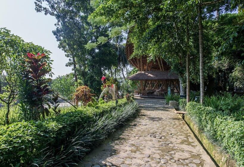 فندق Ecolodge Bukit Lawang