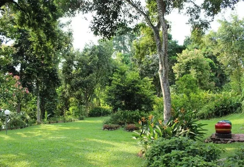 Hotelli Ecolodge Bukit Lawang