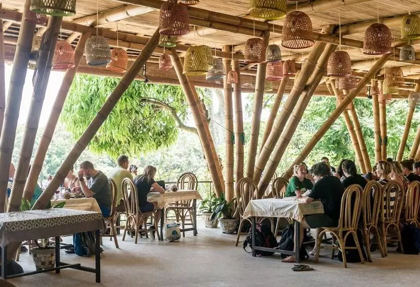 Hotelli Ecolodge Bukit Lawang