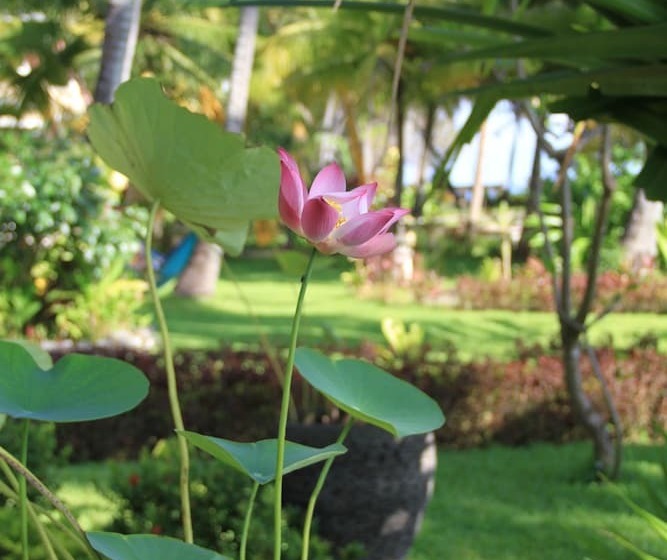 Hotel Felicianas Resort