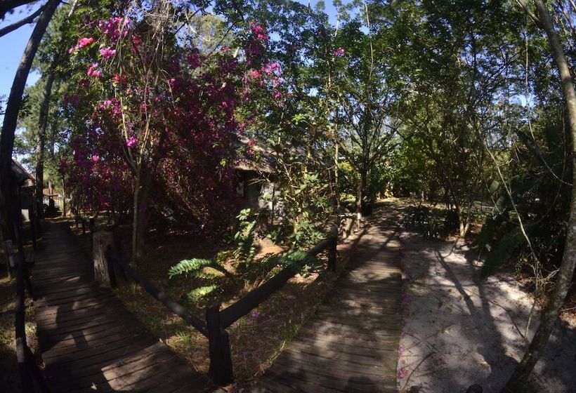 בית מלון כפרי Triton Dive Lodge