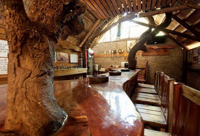 בית מלון כפרי Triton Dive Lodge