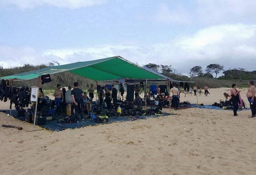 בית מלון כפרי Triton Dive Lodge