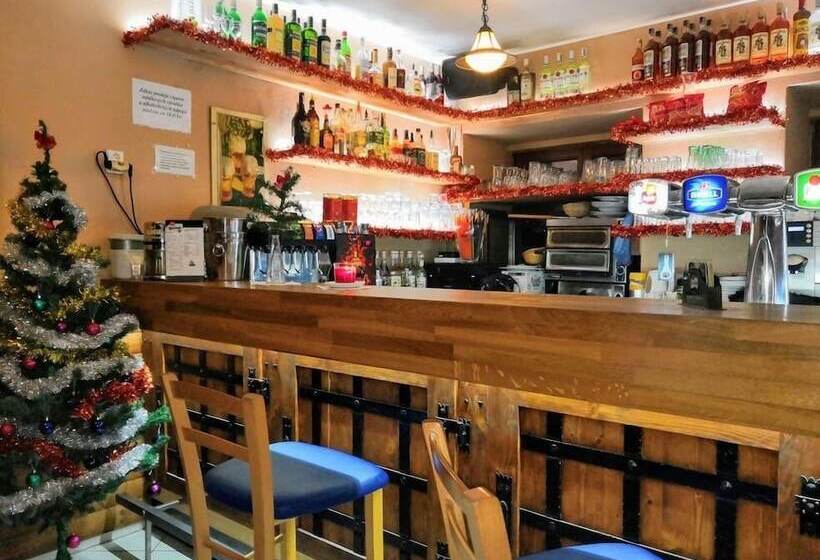 בית מלון כפרי U Martina   Kocabka