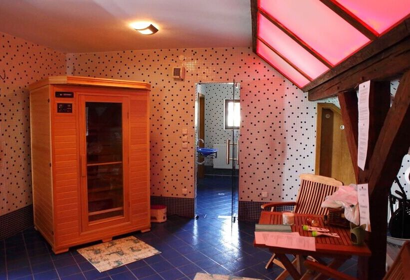 בית מלון כפרי U Martina   Kocabka