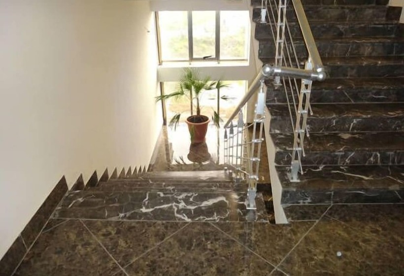 Millennium Apartment