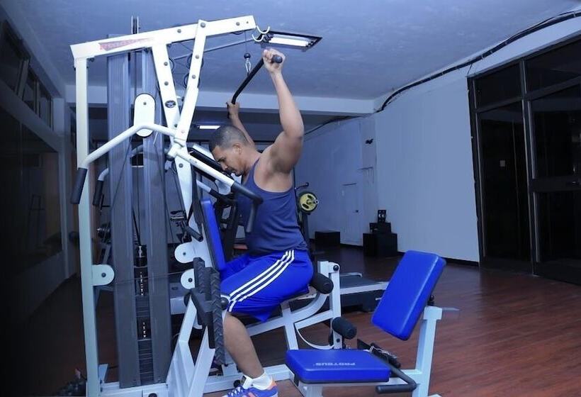 Millennium Apartment