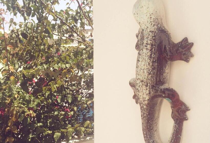 פנסיון Panareal