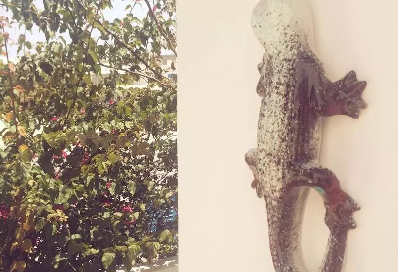 ペンション Panareal