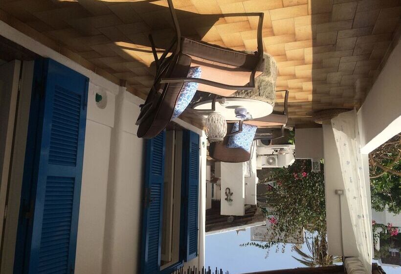 פנסיון Panareal