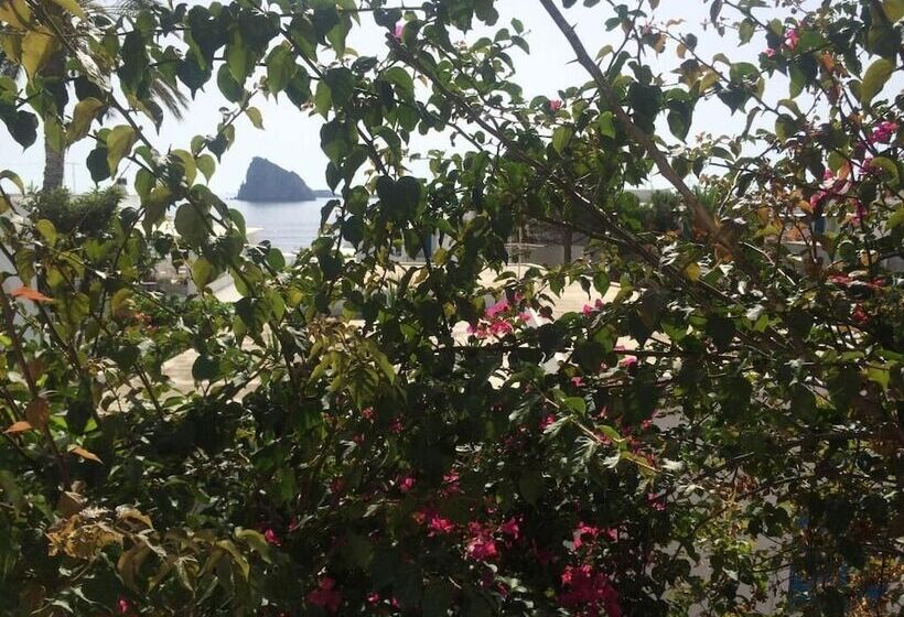 פנסיון Panareal