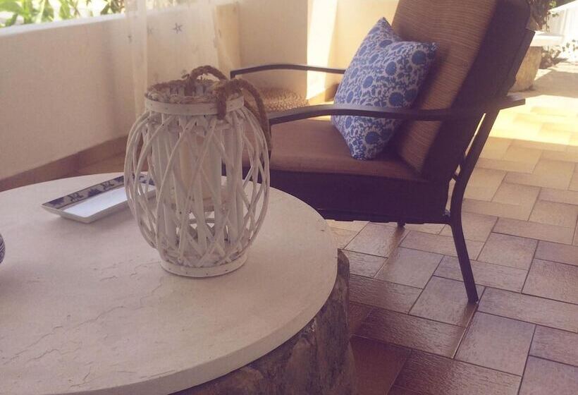 פנסיון Panareal