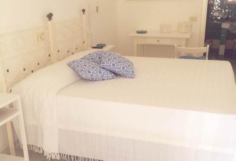 פנסיון Panareal