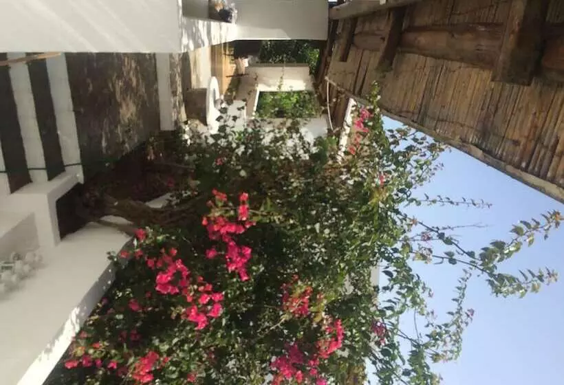 ペンション Panareal