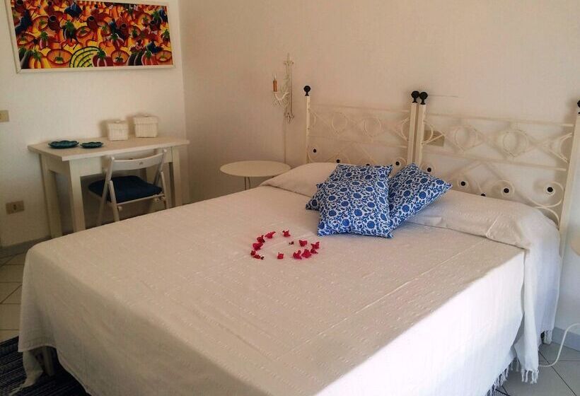 פנסיון Panareal