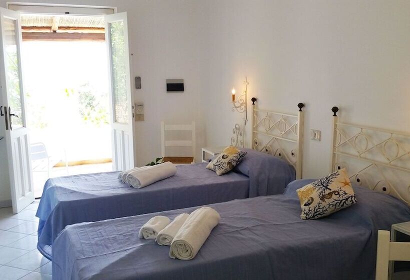 פנסיון Panareal