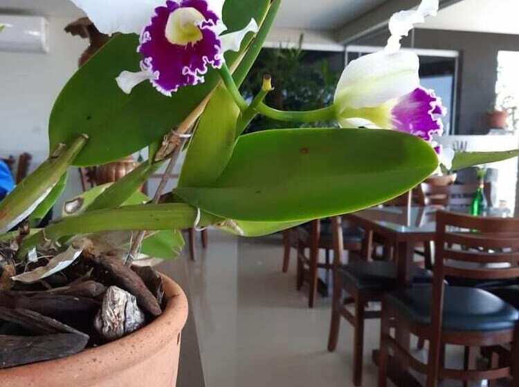 Wr Confort Hotel Campo Grande