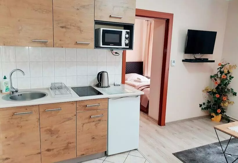 Aparthouse Apartamenty Centrum