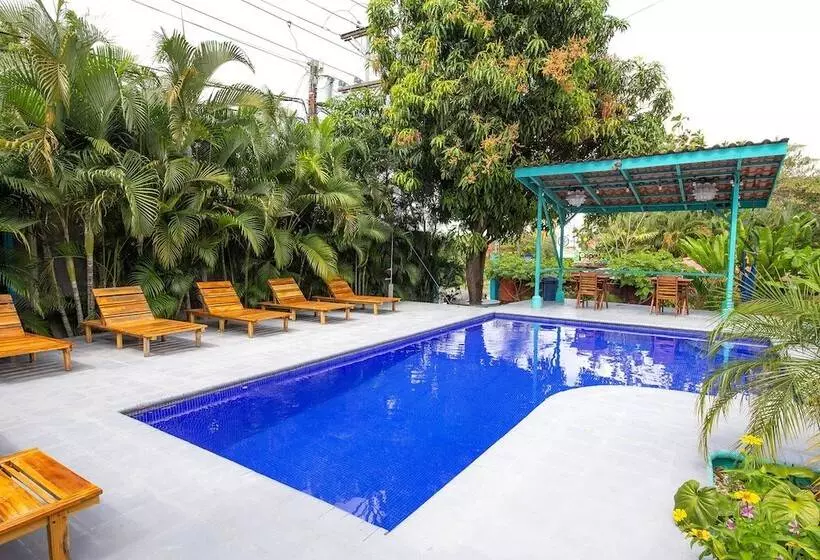 Hotelli Diversion Tropical