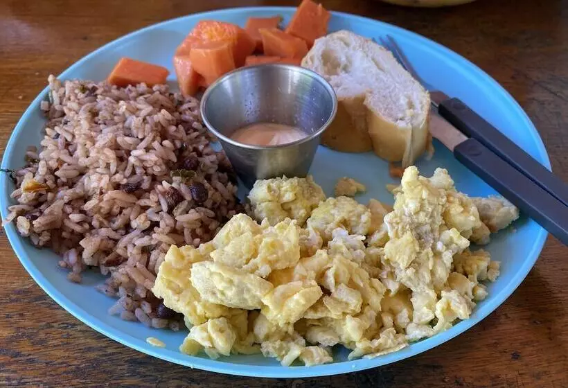 Hotelli Diversion Tropical