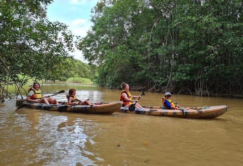 호텔 Diversion Tropical