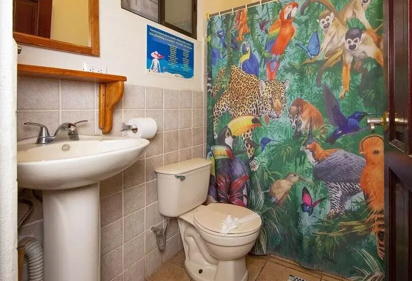 Hotelli Diversion Tropical