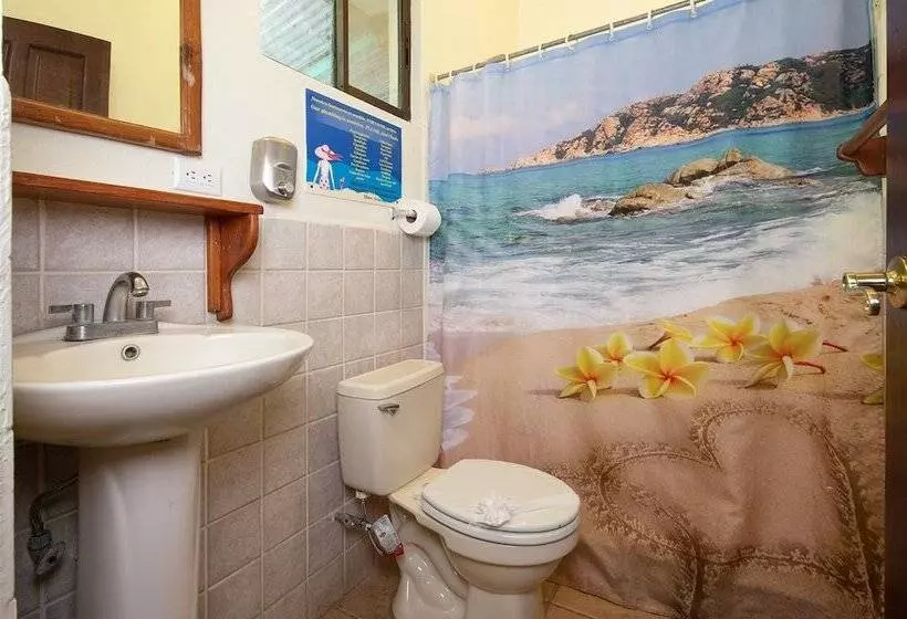 Hotelli Diversion Tropical