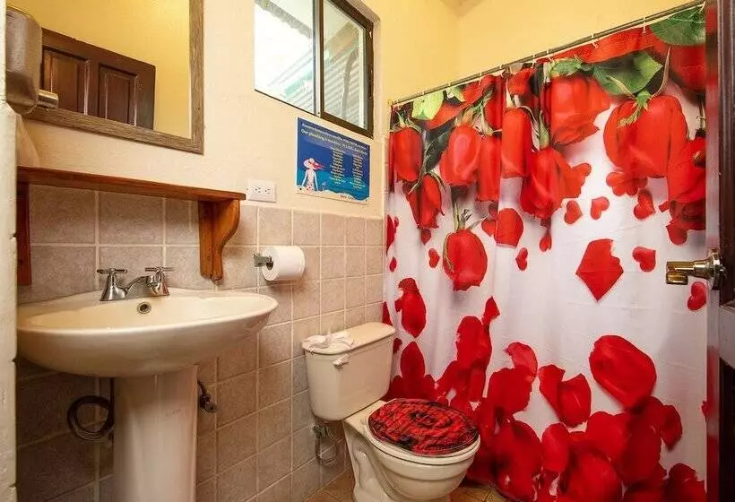 Hotelli Diversion Tropical