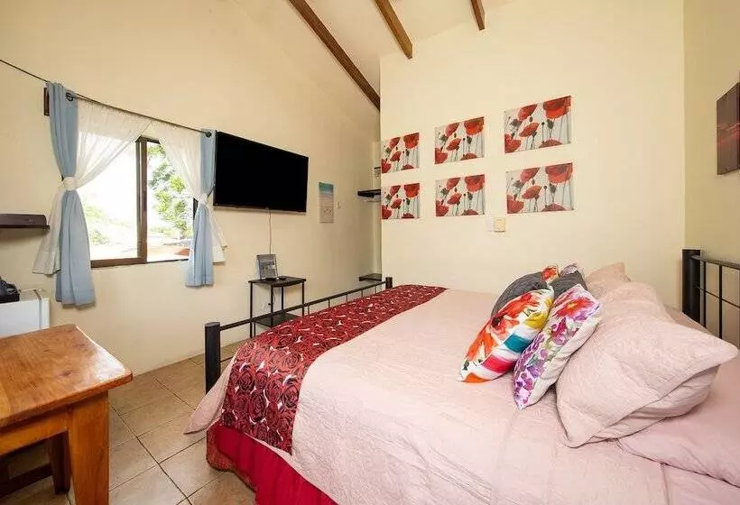 Hotelli Diversion Tropical