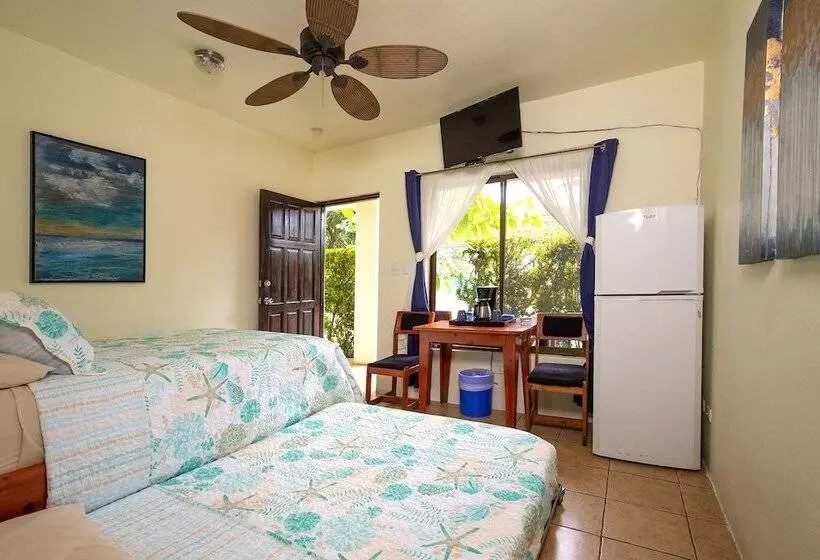 Hotelli Diversion Tropical