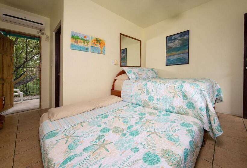 호텔 Diversion Tropical