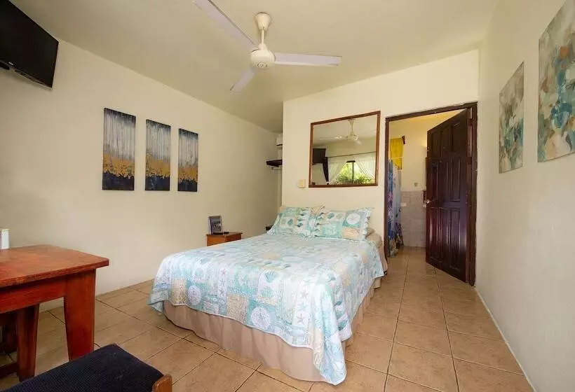 Hotelli Diversion Tropical