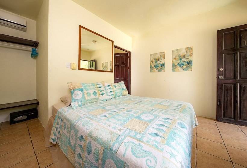 호텔 Diversion Tropical