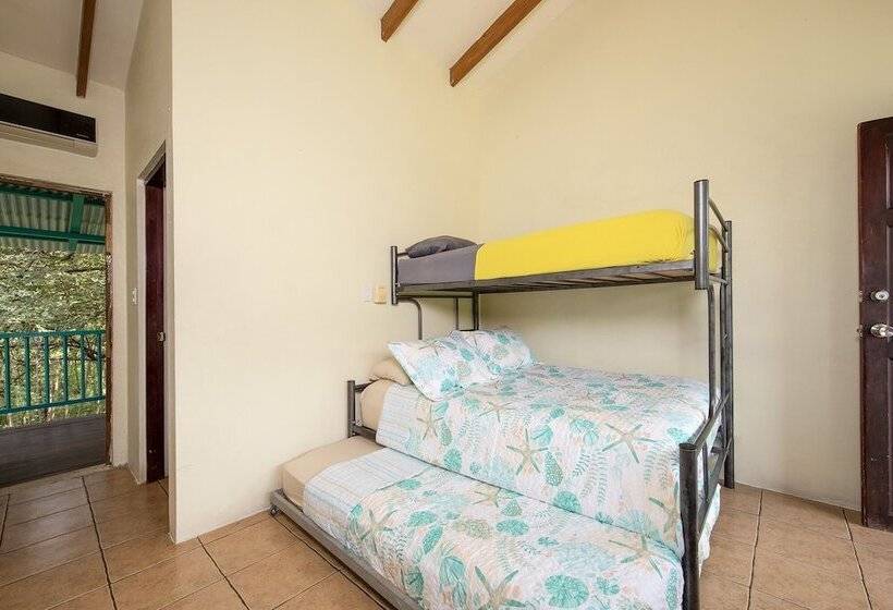 호텔 Diversion Tropical